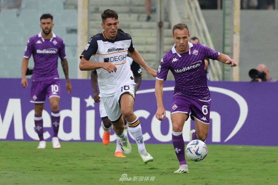 而是为陪伴 而是为陪伴